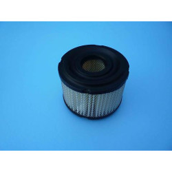 Filtru de aer BRIGGS&STRATTON 390492, 496047