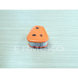 Filtru de aer motor BRIGGS & STRATTON 597265, 595853