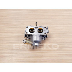 Carburator motor BRIGGS&STRATTON 593234