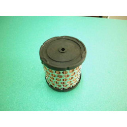 Filtru de aer motor BRIGGS & STRATTON 396424