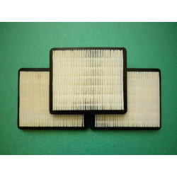 Filtru de aer - BRIGGS & STRATTON 004101, 031749, 31749, 399959, 491588, 491588S