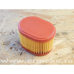 Filtru de aer - BRIGGS & STRATTON 790166