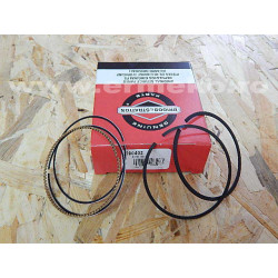Set segmenti STD motor BRIGGS & STRATTON 590402