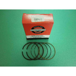 Set segmenti STD BRIGGS & STRATTON