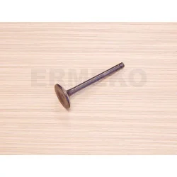 Supapa evacuare motor ZONGSHEN XP380, XP440 - 100071342