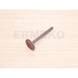 Supapa evacuare motor ZONGSHEN GB680, XP680 - 100004555