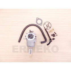 Carburator motor BRIGGS & STRATTON 795365, 792358, 793224, 794572