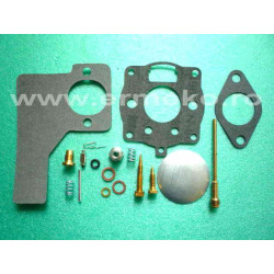 Kit reparatie carburator - BRIGGS & STRATTON
