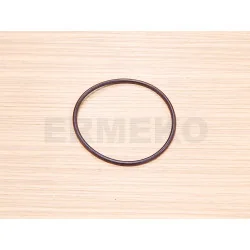 Oring pompa submersibila Terra 10s
