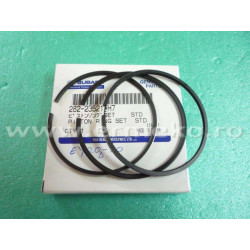 Set segmenti motor ROBIN EY20D