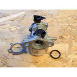 Carburator BRIGGS & STRATTON 790978