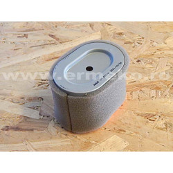 Filtru de aer motor BRIGGS & STRATTON 796970