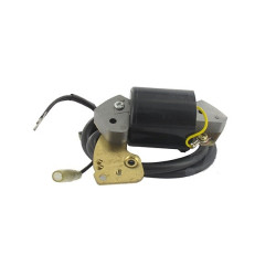 Modul de aprindere motor ROBIN EC10